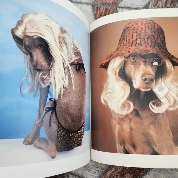 Polaroids Weimaraner Art Book - Picture 7 of 11